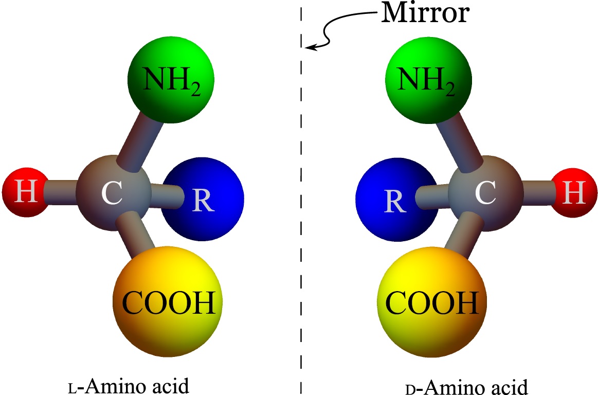Chirality of Amino Acids