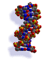 Representation of DNA